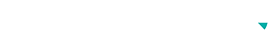 skyring logo